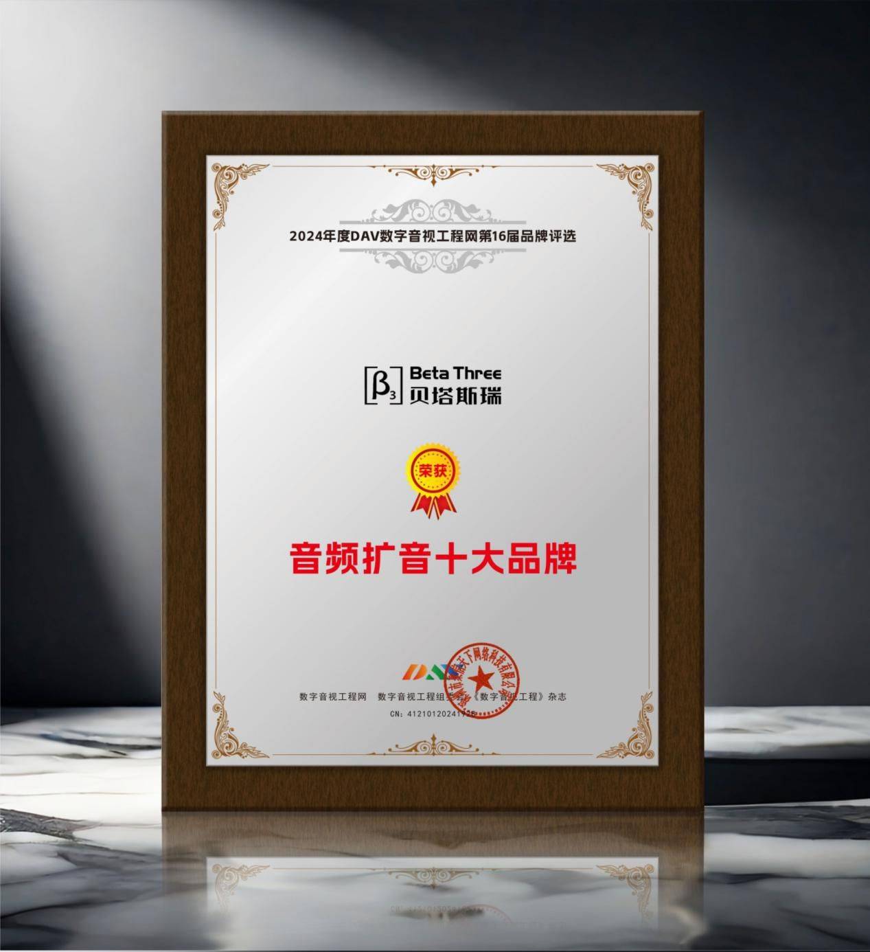 1“2024年度音频扩音十大品牌”名单公布！ayx爱游戏app体育喜讯来袭！ DAV0(图10)